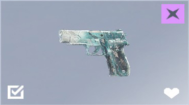 P229