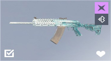 SASG 12