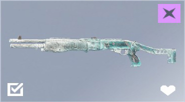 SPAS 12